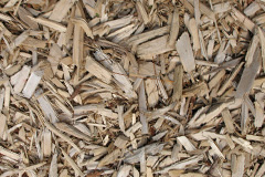 biomass boilers Ravenstone